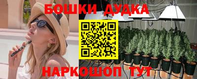 PSILOCYBIN Обнинск
