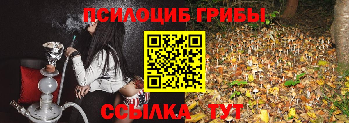 Галлюциногенные грибы ЛСД Строитель
