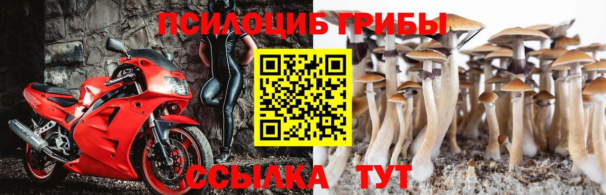 Строитель  где продают   Галлюциногенные грибы Magic Shrooms  Вход с VPN  Псилоцибиновые грибы Psilocybe 
